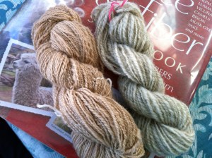 Camel down and Romney, my first and last skeins of the Tour.